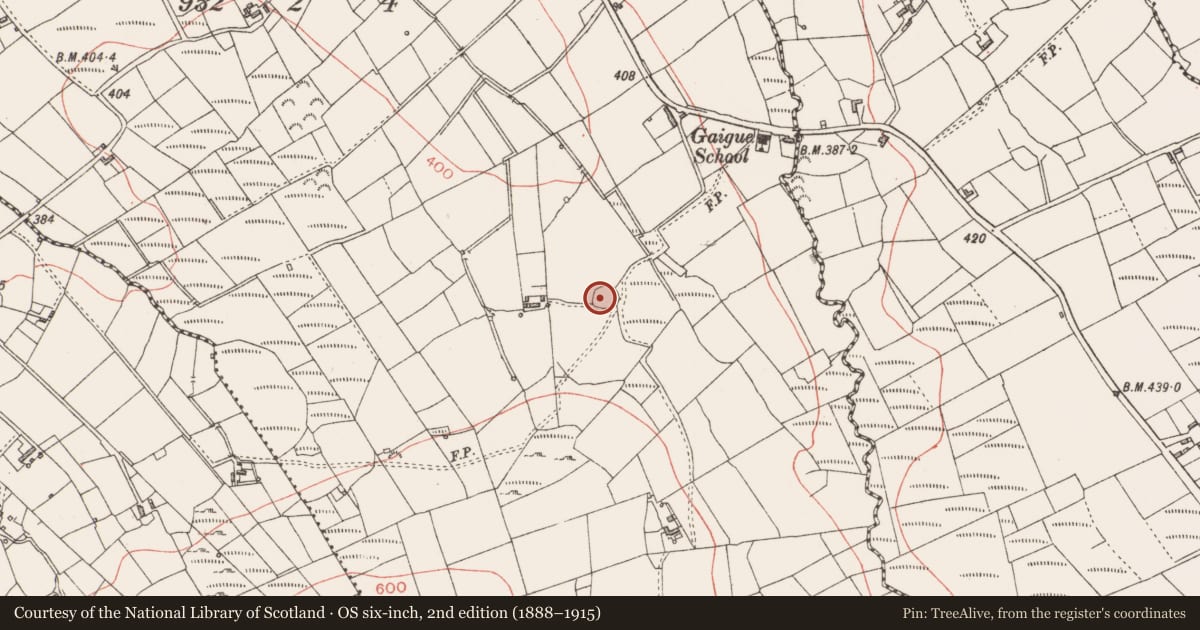 Ordnance Survey six-inch map, 2nd edition (1888–1915) covering the location of Ringfort - cashel, Gaigue, County Longford, with a pin at the register's coordinates
