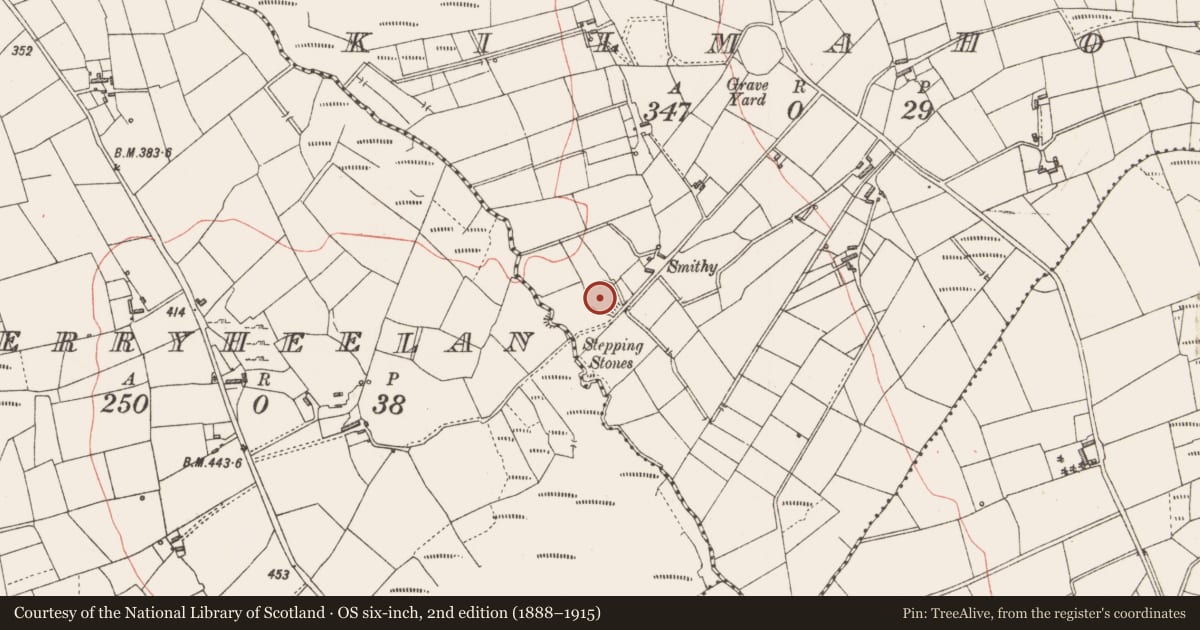 Ordnance Survey six-inch map, 2nd edition (1888–1915) covering the location of Ringfort - rath, Kilmahon, County Longford, with a pin at the register's coordinates