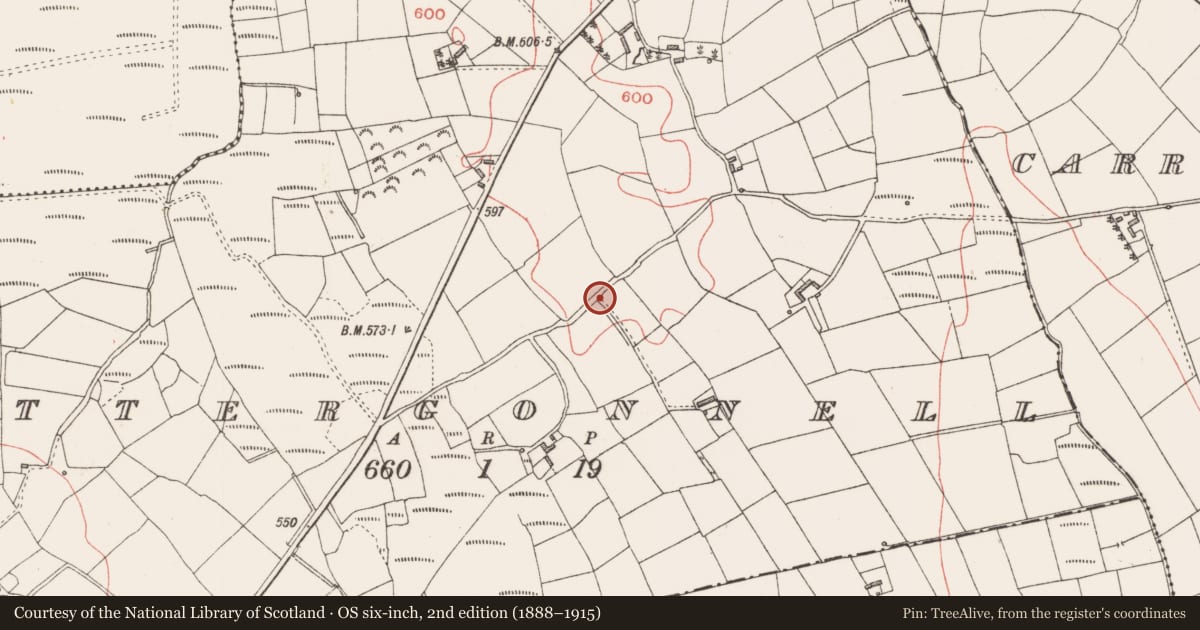 Ordnance Survey six-inch map, 2nd edition (1888–1915) covering the location of Stone row, Lettergonnell, County Longford, with a pin at the register's coordinates