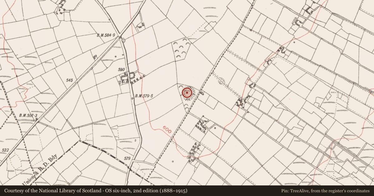 Ordnance Survey six-inch map, 2nd edition (1888–1915) covering the location of Ringfort - rath, Aghadowry, County Longford, with a pin at the register's coordinates