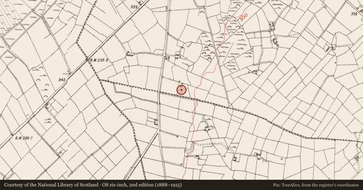 Ordnance Survey six-inch map, 2nd edition (1888–1915) covering the location of Ringfort - rath, Drumlish, County Longford, with a pin at the register's coordinates