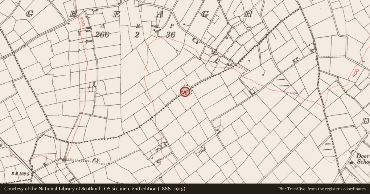 Ordnance Survey six-inch map, 2nd edition (1888–1915) covering the location of Ringfort - rath, Cartrongolan, Greagh, County Longford, with a pin at the register's coordinates