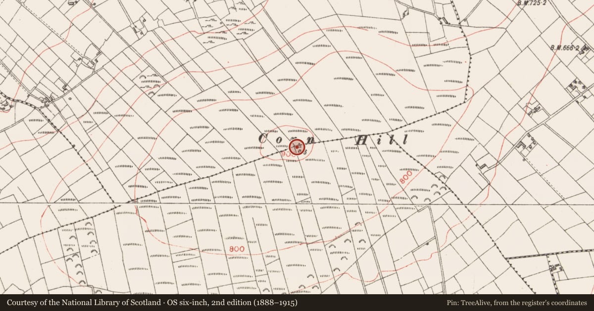 Ordnance Survey six-inch map, 2nd edition (1888–1915) covering the location of Megalithic tomb - passage tomb, Dooroc, Corneddan, County Longford, with a pin at the register's coordinates