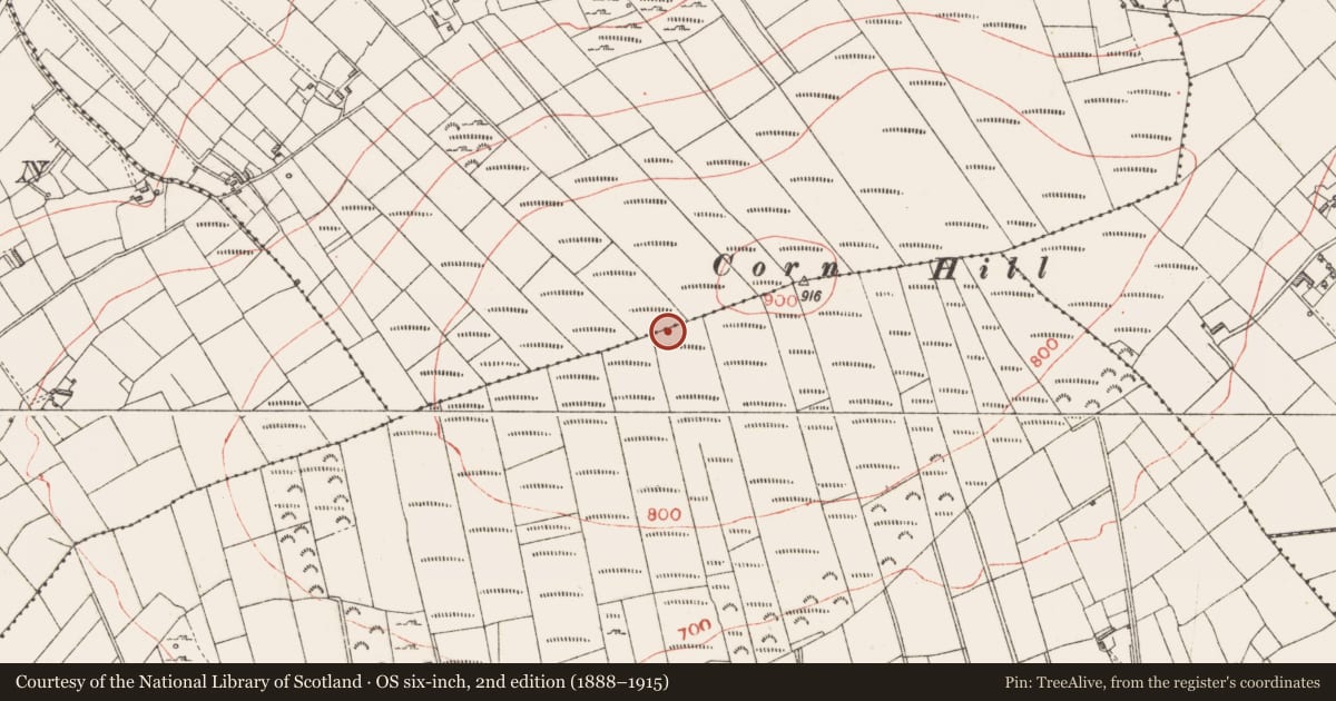 Ordnance Survey six-inch map, 2nd edition (1888–1915) covering the location of Cairn - unclassified, Corneddan, Dooroc, County Longford, with a pin at the register's coordinates