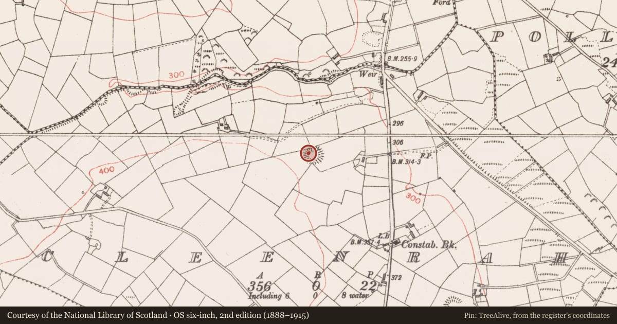 Ordnance Survey six-inch map, 2nd edition (1888–1915) covering the location of Ringfort - rath, Cleenrah, County Longford, with a pin at the register's coordinates