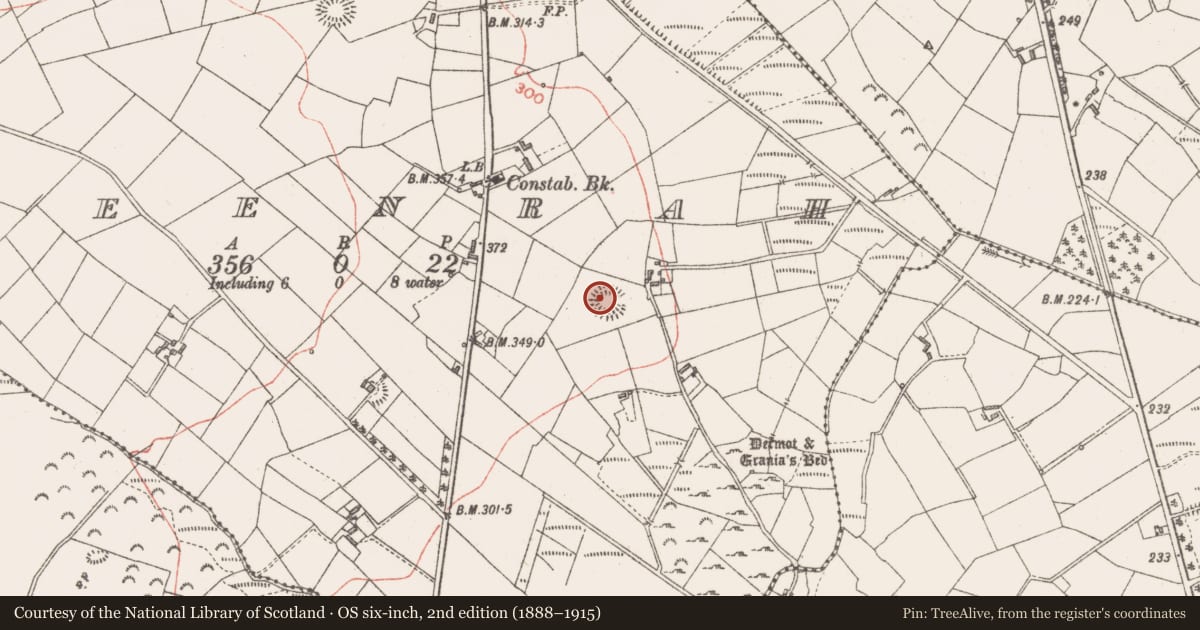 Ordnance Survey six-inch map, 2nd edition (1888–1915) covering the location of Ringfort - rath, Cleenrah, County Longford, with a pin at the register's coordinates