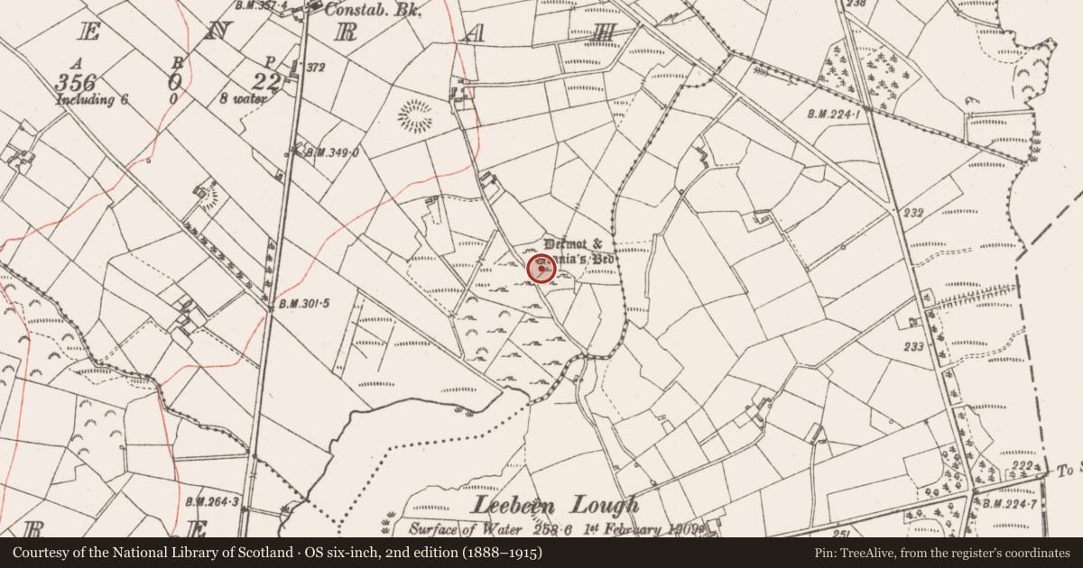 Ordnance Survey six-inch map, 2nd edition (1888–1915) covering the location of Megalithic tomb - portal tomb, Cleenrah, County Longford, with a pin at the register's coordinates