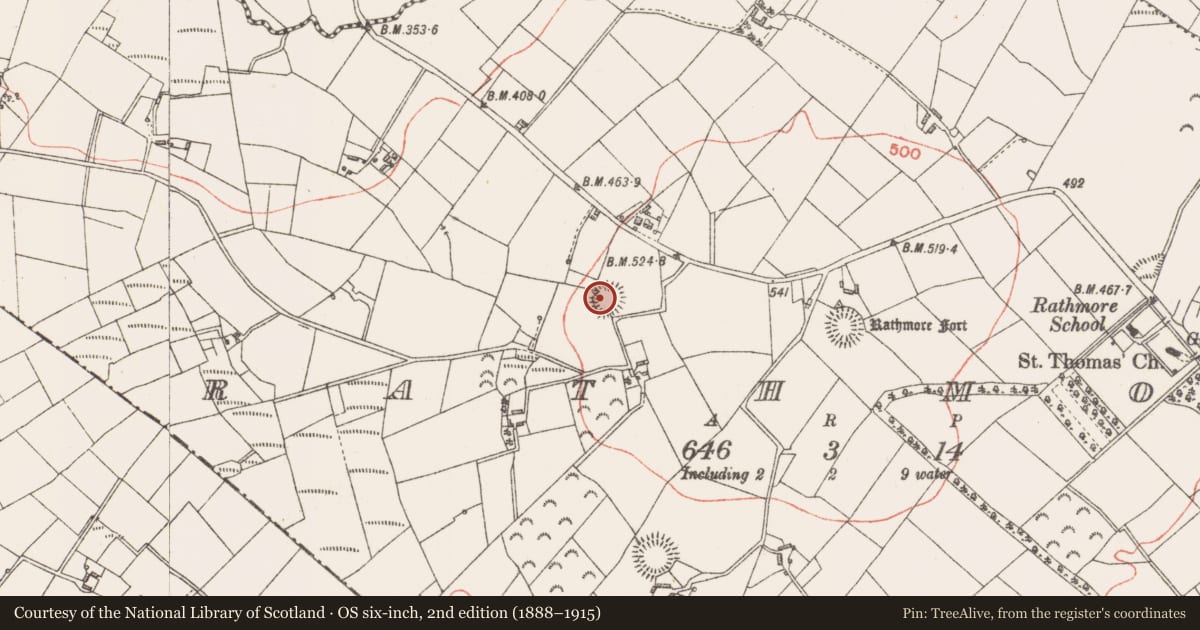 Ordnance Survey six-inch map, 2nd edition (1888–1915) covering the location of Ringfort - rath, Rathmore, County Longford, with a pin at the register's coordinates