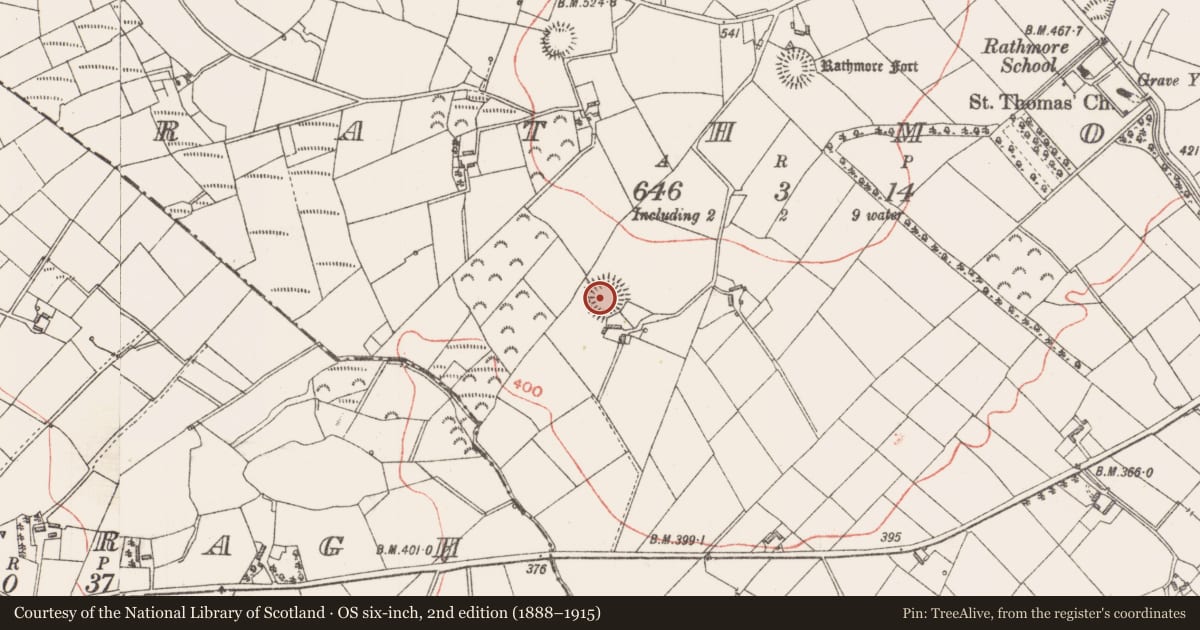 Ordnance Survey six-inch map, 2nd edition (1888–1915) covering the location of Ringfort - rath, Rathmore, County Longford, with a pin at the register's coordinates