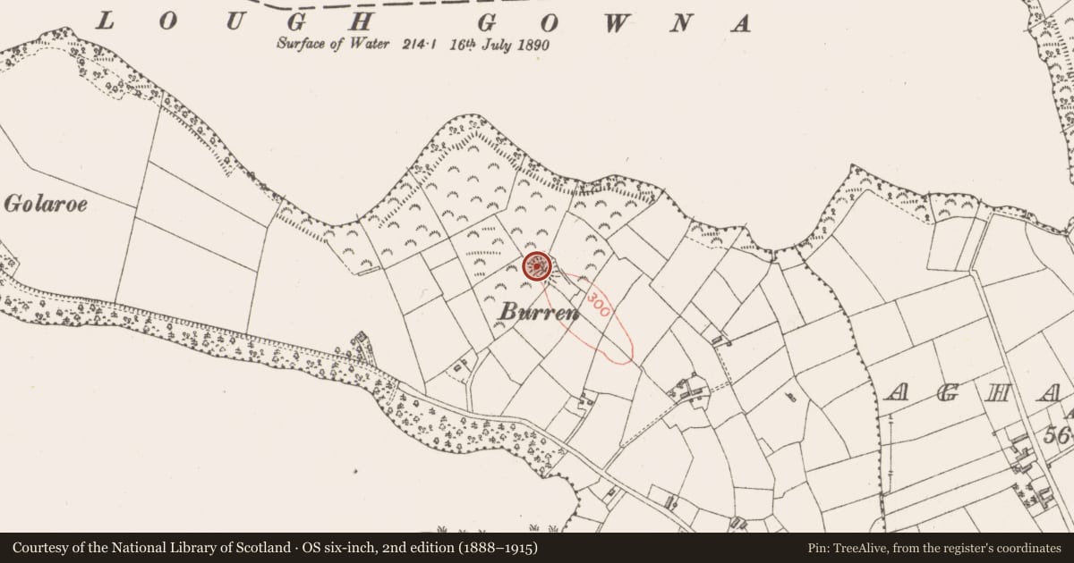 Ordnance Survey six-inch map, 2nd edition (1888–1915) covering the location of Ringfort - rath, Larkfield, County Longford, with a pin at the register's coordinates