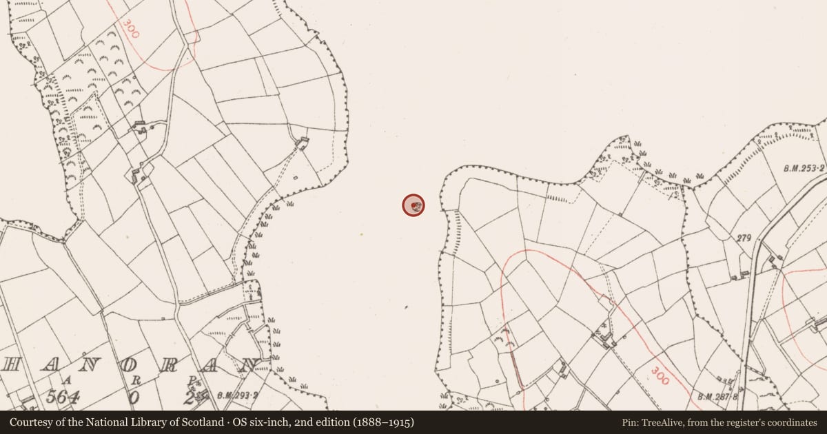 Ordnance Survey six-inch map, 2nd edition (1888–1915) covering the location of Crannog, Lough Gowna, County Longford, with a pin at the register's coordinates