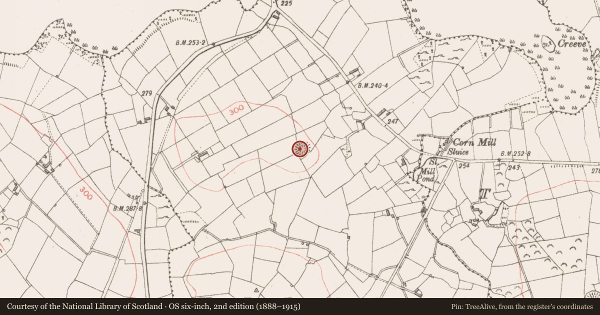 Ordnance Survey six-inch map, 2nd edition (1888–1915) covering the location of Ringfort - rath, Kilmore, County Longford, with a pin at the register's coordinates