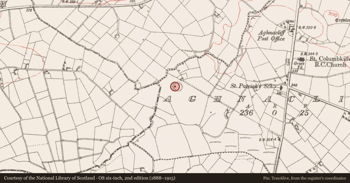 Ordnance Survey six-inch map, 2nd edition (1888–1915) covering the location of Ringfort - rath, Aghnacliff, County Longford, with a pin at the register's coordinates