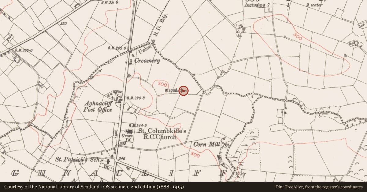 Ordnance Survey six-inch map, 2nd edition (1888–1915) covering the location of Megalithic tomb - portal tomb, Aghnacliff, County Longford, with a pin at the register's coordinates