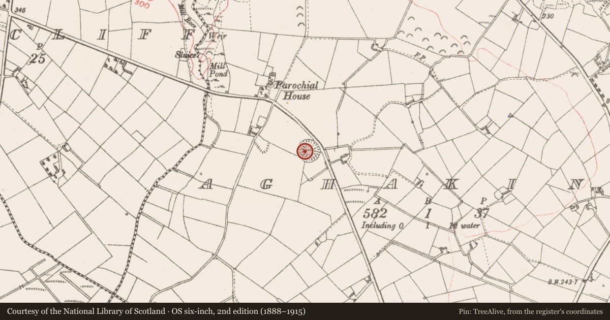 Ordnance Survey six-inch map, 2nd edition (1888–1915) covering the location of Ringfort - rath, Aghakine, County Longford, with a pin at the register's coordinates