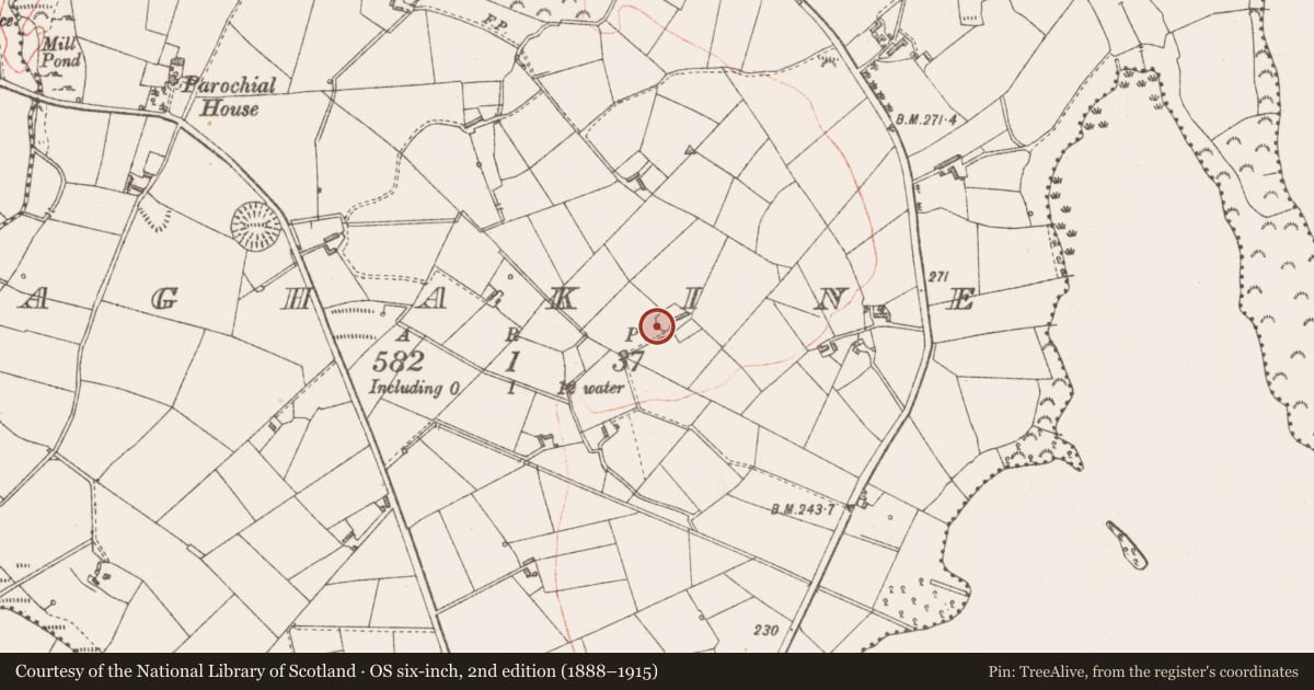Ordnance Survey six-inch map, 2nd edition (1888–1915) covering the location of Ringfort - rath, Aghakine, County Longford, with a pin at the register's coordinates
