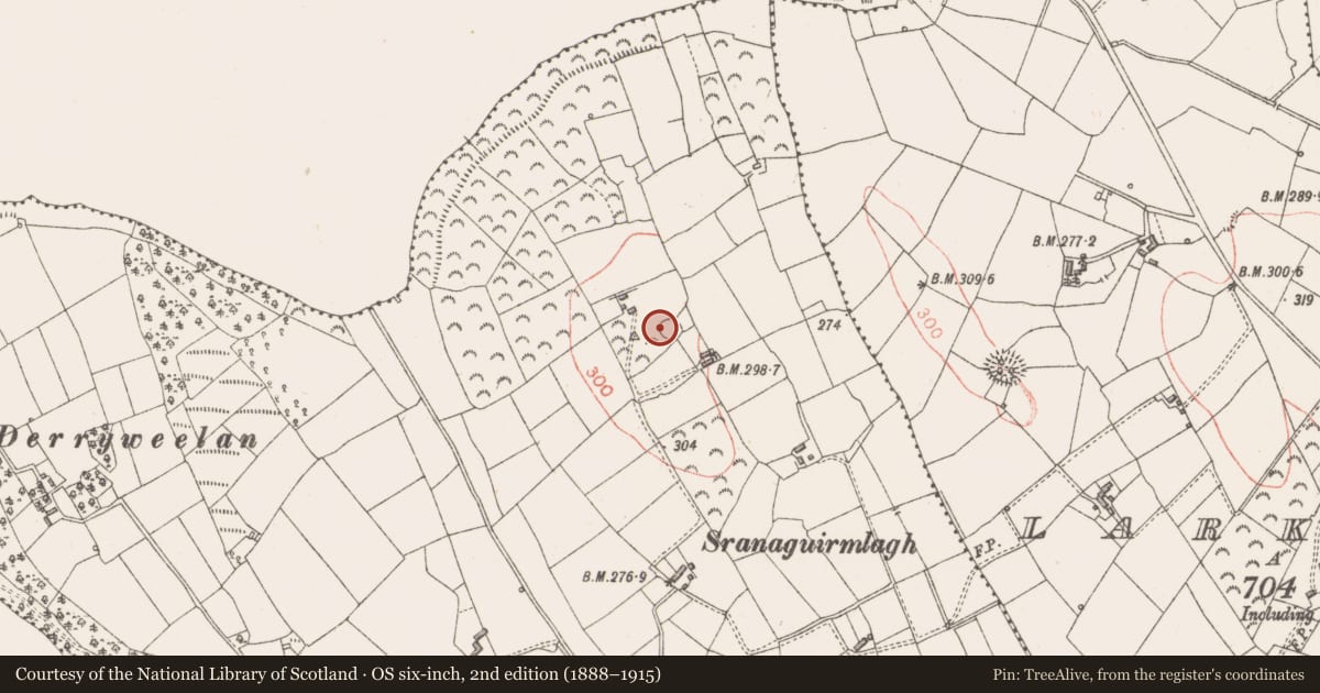 Ordnance Survey six-inch map, 2nd edition (1888–1915) covering the location of Ringfort - rath, Derrycassan, County Longford, with a pin at the register's coordinates