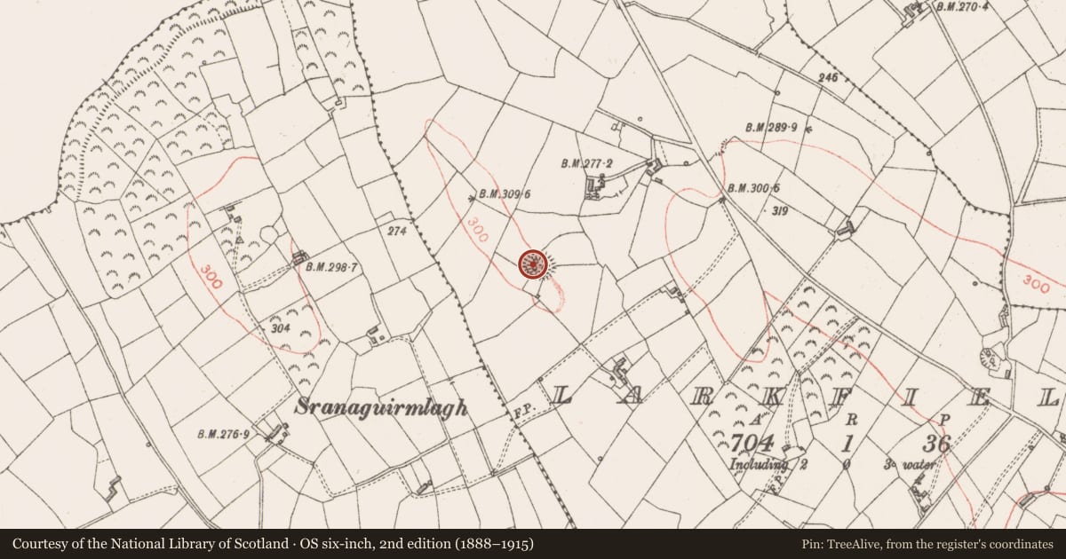 Ordnance Survey six-inch map, 2nd edition (1888–1915) covering the location of Ringfort - rath, Larkfield, County Longford, with a pin at the register's coordinates