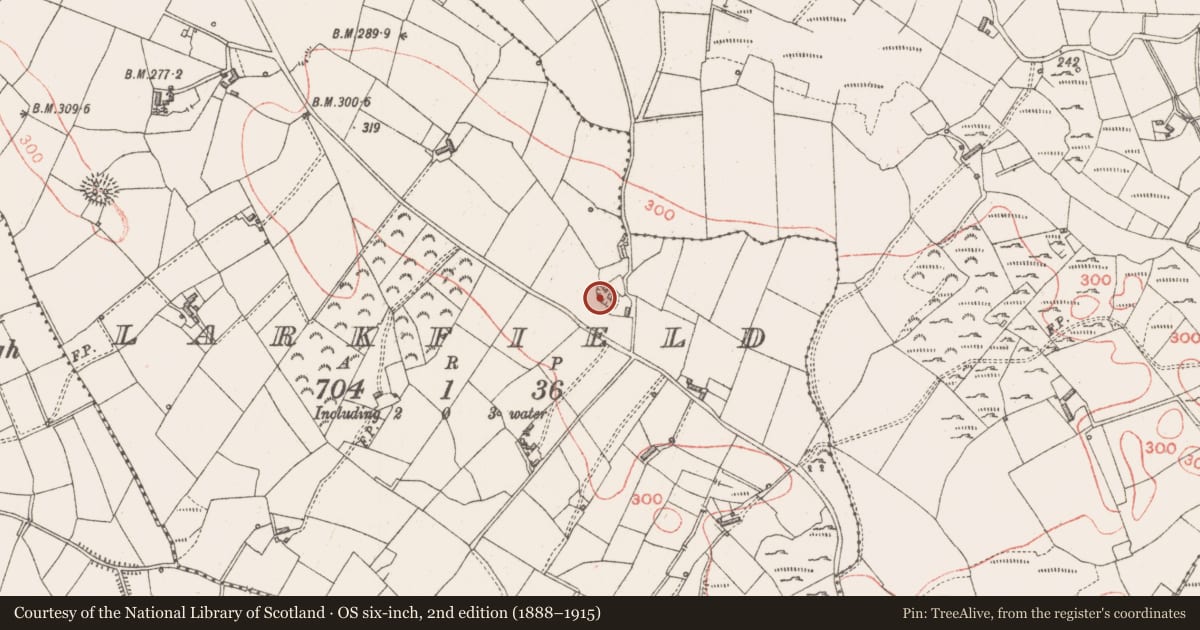 Ordnance Survey six-inch map, 2nd edition (1888–1915) covering the location of Ringfort - rath, Larkfield, County Longford, with a pin at the register's coordinates