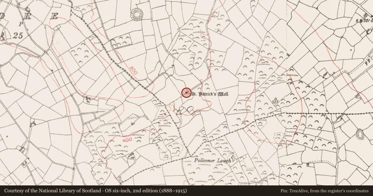 Ordnance Survey six-inch map, 2nd edition (1888–1915) covering the location of Ritual site - holy well, Toome, County Longford, with a pin at the register's coordinates