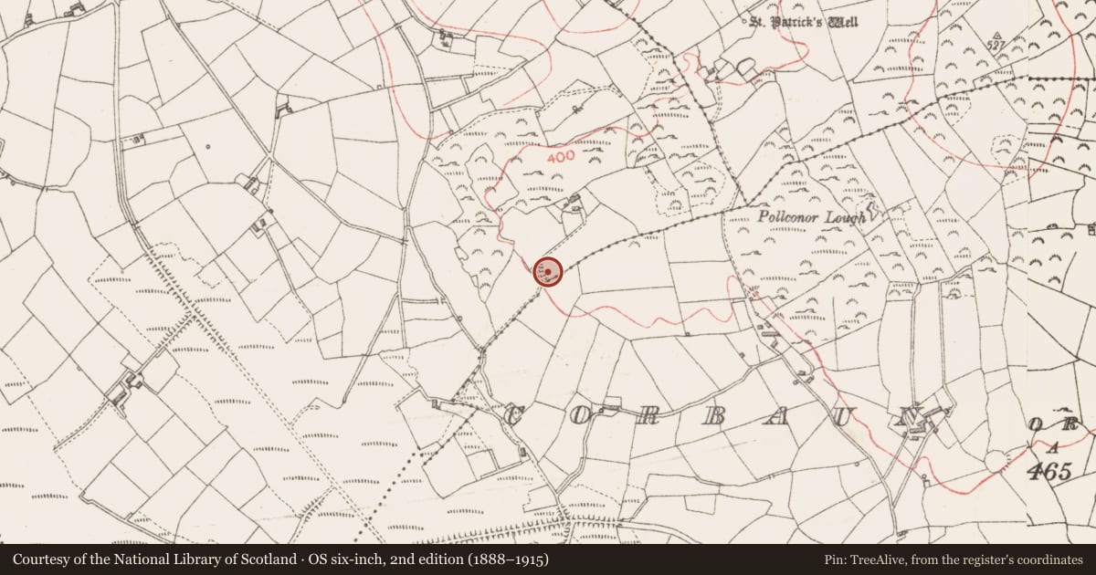 Ordnance Survey six-inch map, 2nd edition (1888–1915) covering the location of Ringfort - rath, Kilmore, County Longford, with a pin at the register's coordinates