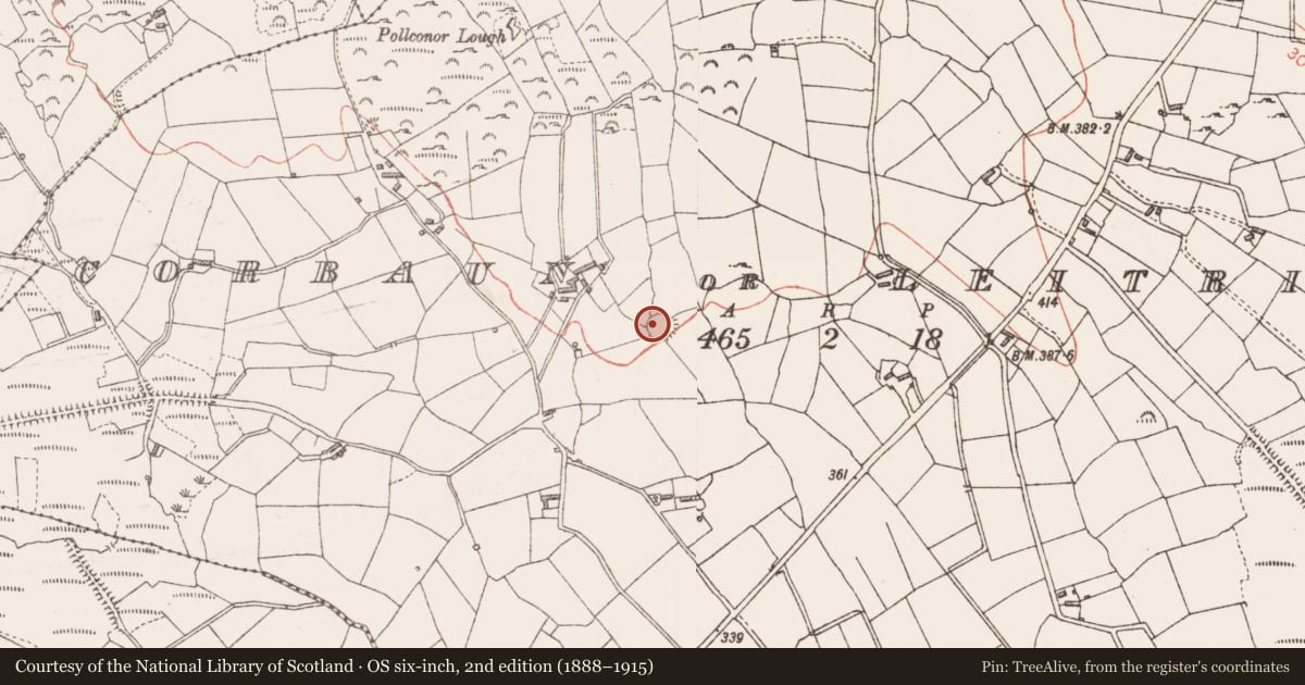Ordnance Survey six-inch map, 2nd edition (1888–1915) covering the location of Ringfort - rath, Corbaun Or Leitrim, County Longford, with a pin at the register's coordinates