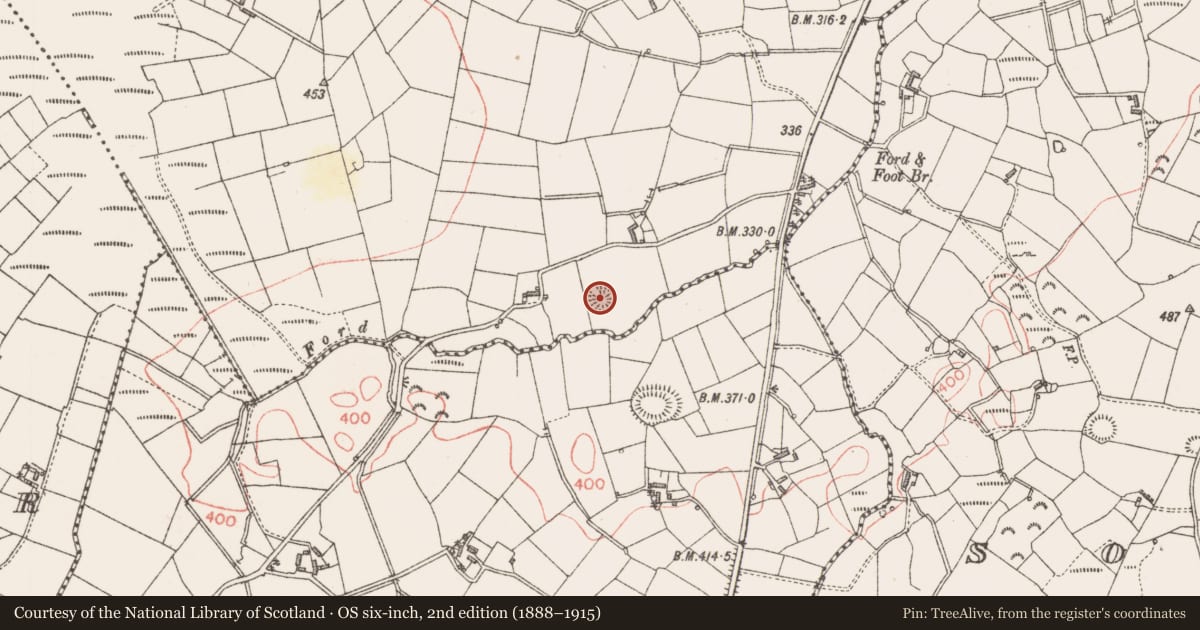 Ordnance Survey six-inch map, 2nd edition (1888–1915) covering the location of Ringfort - rath, Carrickadorrish, County Longford, with a pin at the register's coordinates