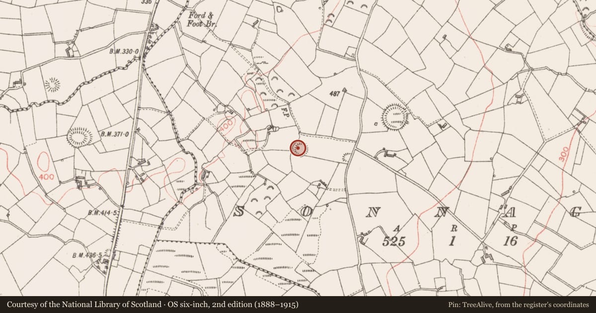 Ordnance Survey six-inch map, 2nd edition (1888–1915) covering the location of Ringfort - rath, Sonnagh, County Longford, with a pin at the register's coordinates