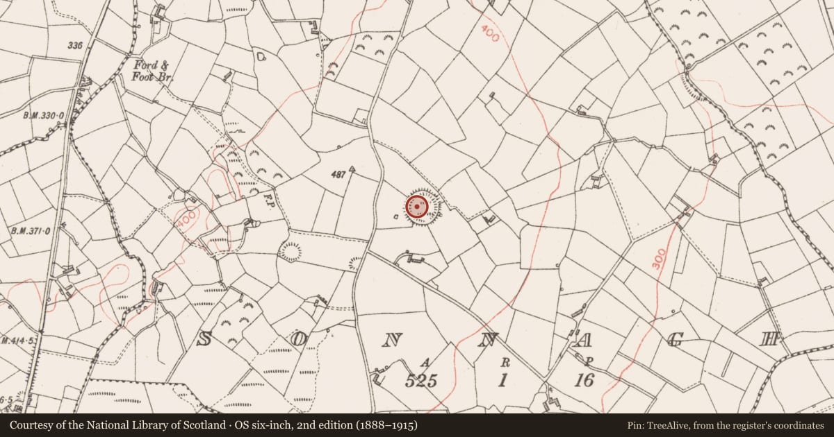 Ordnance Survey six-inch map, 2nd edition (1888–1915) covering the location of Ringfort - rath, Sonnagh, County Longford, with a pin at the register's coordinates