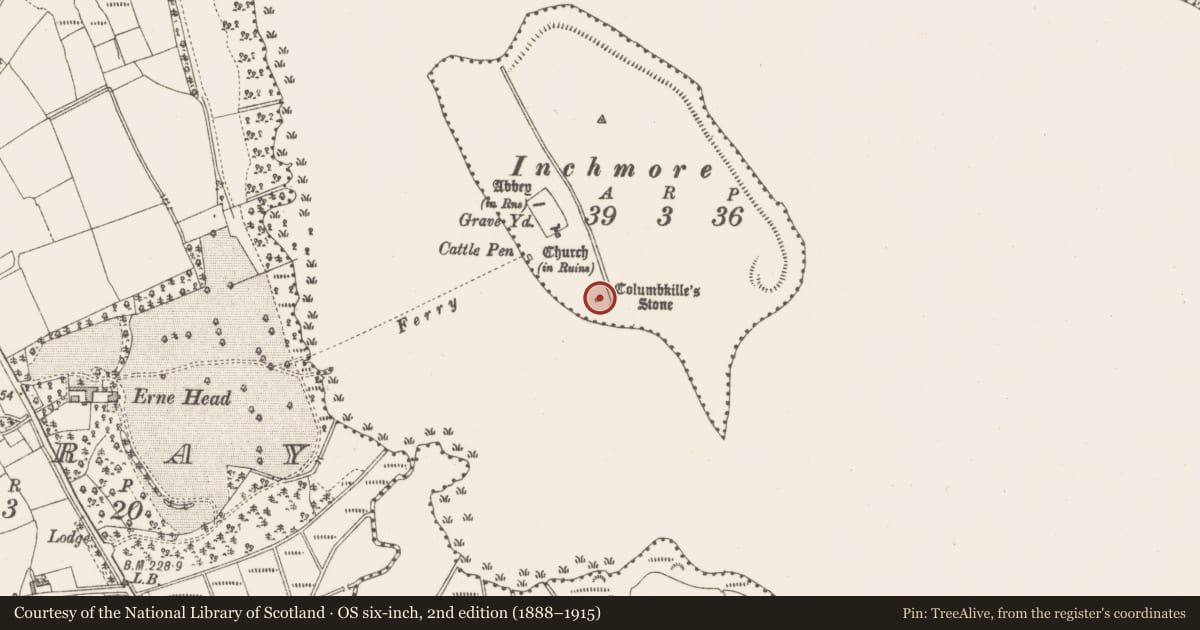 Ordnance Survey six-inch map, 2nd edition (1888–1915) covering the location of Ritual site - holy/saint's stone, Inchmore Island, County Longford, with a pin at the register's coordinates