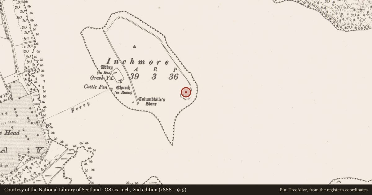 Ordnance Survey six-inch map, 2nd edition (1888–1915) covering the location of Fortification, Inchmore Island, County Longford, with a pin at the register's coordinates