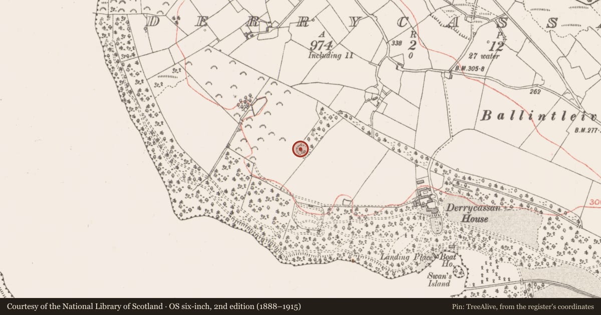 Ordnance Survey six-inch map, 2nd edition (1888–1915) covering the location of Ringfort - rath, Derrycassan, County Longford, with a pin at the register's coordinates