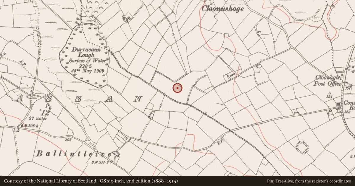 Ordnance Survey six-inch map, 2nd edition (1888–1915) covering the location of Ringfort - rath, Larkfield, County Longford, with a pin at the register's coordinates