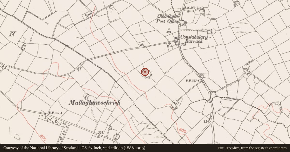 Ordnance Survey six-inch map, 2nd edition (1888–1915) covering the location of Ringfort - rath, Larkfield, County Longford, with a pin at the register's coordinates