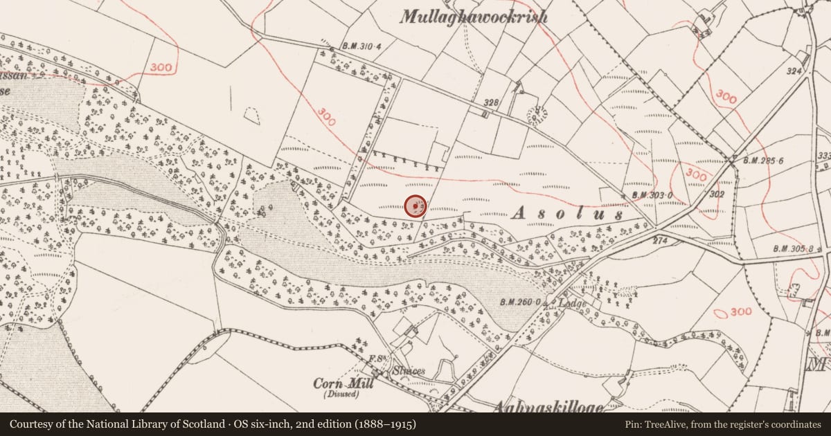 Ordnance Survey six-inch map, 2nd edition (1888–1915) covering the location of Ringfort - rath, Derrycassan, County Longford, with a pin at the register's coordinates