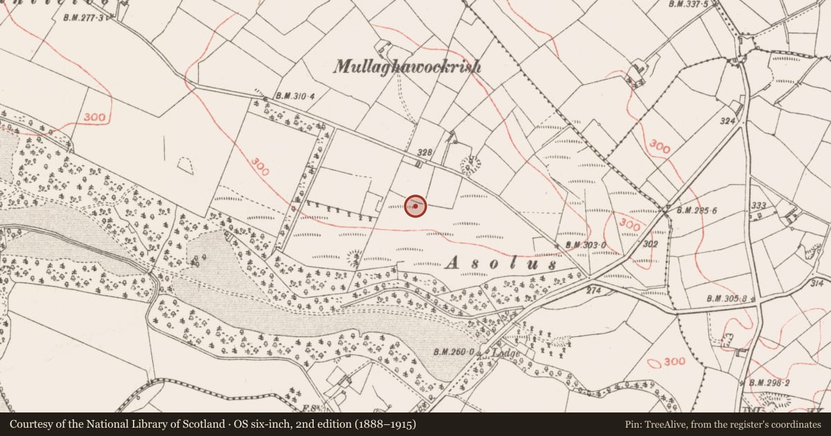 Ordnance Survey six-inch map, 2nd edition (1888–1915) covering the location of Ringfort - rath, Derrycassan, County Longford, with a pin at the register's coordinates