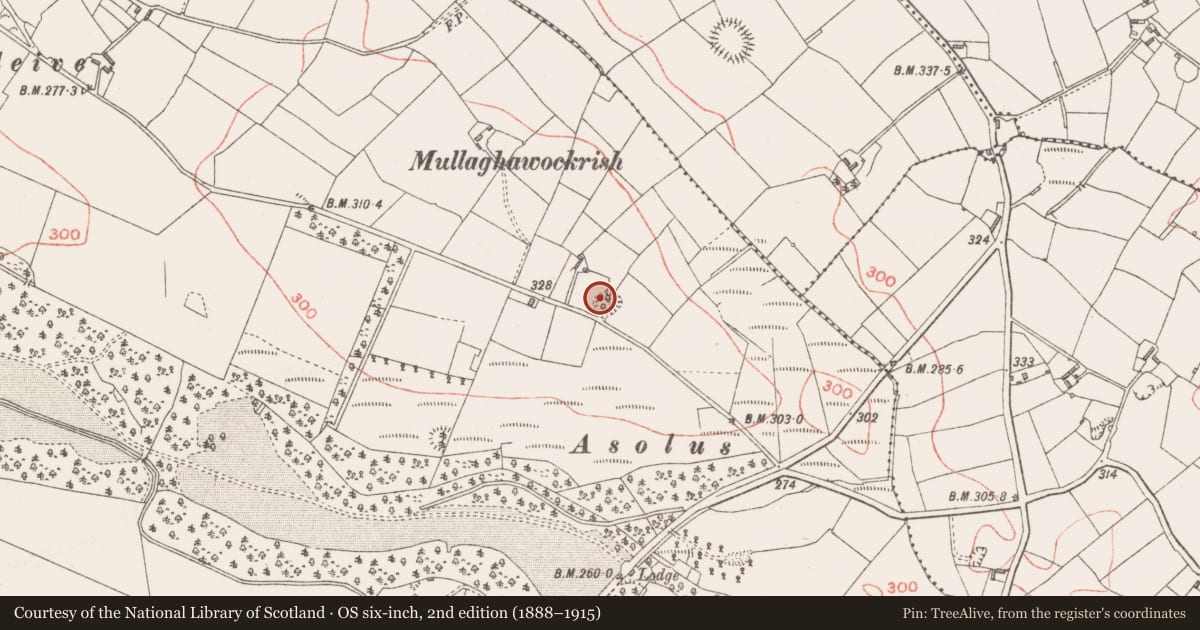 Ordnance Survey six-inch map, 2nd edition (1888–1915) covering the location of Ringfort - rath, Derrycassan, County Longford, with a pin at the register's coordinates