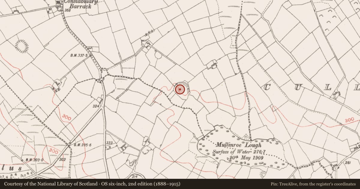 Ordnance Survey six-inch map, 2nd edition (1888–1915) covering the location of Enclosure, Cloonagh, County Longford, with a pin at the register's coordinates