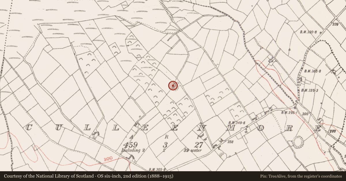 Ordnance Survey six-inch map, 2nd edition (1888–1915) covering the location of Ringfort - rath, Culleenmore, County Longford, with a pin at the register's coordinates