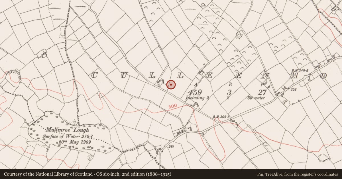 Ordnance Survey six-inch map, 2nd edition (1888–1915) covering the location of Ringfort - rath, Culleenmore, County Longford, with a pin at the register's coordinates
