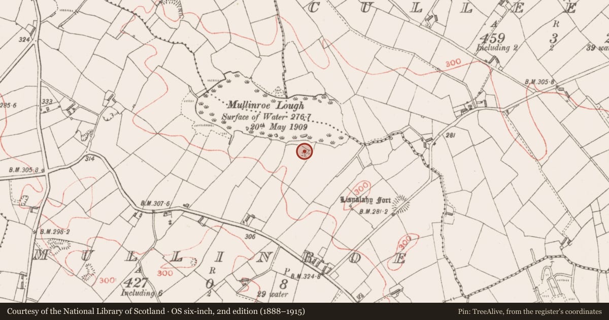 Ordnance Survey six-inch map, 2nd edition (1888–1915) covering the location of Ringfort - rath, Mullinroe, County Longford, with a pin at the register's coordinates