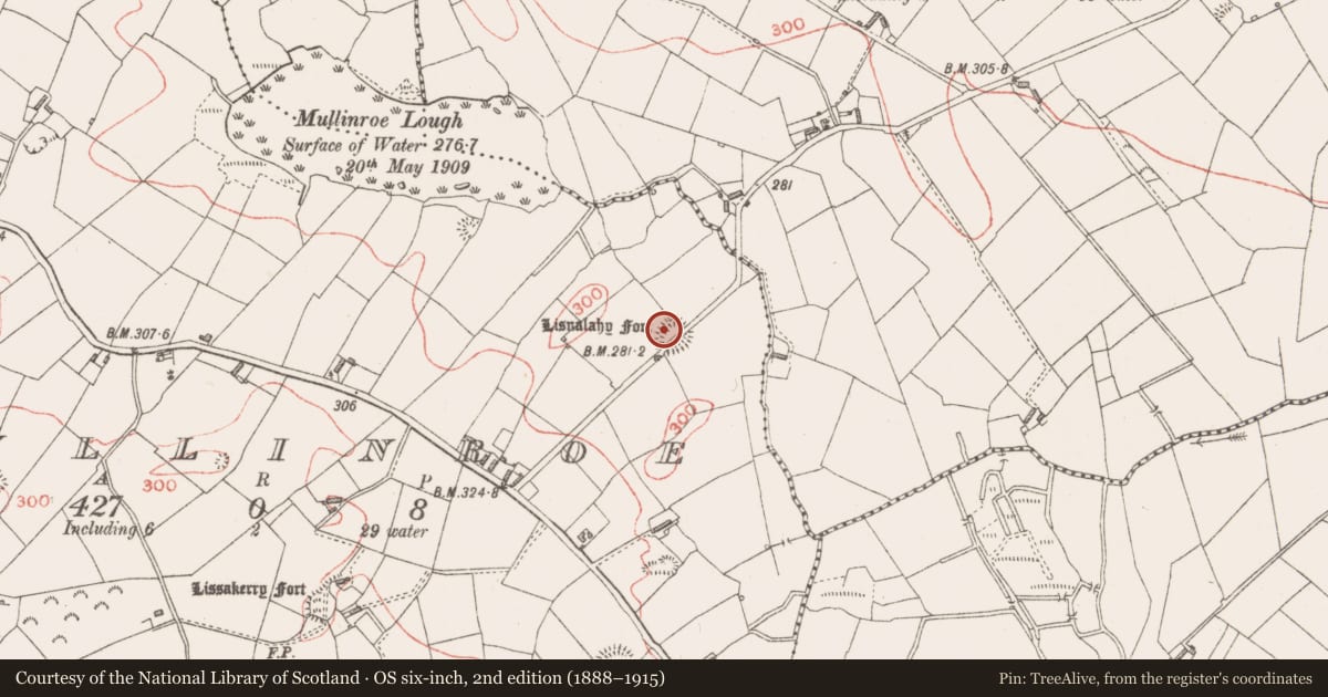 Ordnance Survey six-inch map, 2nd edition (1888–1915) covering the location of Ringfort - rath, Mullinroe, County Longford, with a pin at the register's coordinates