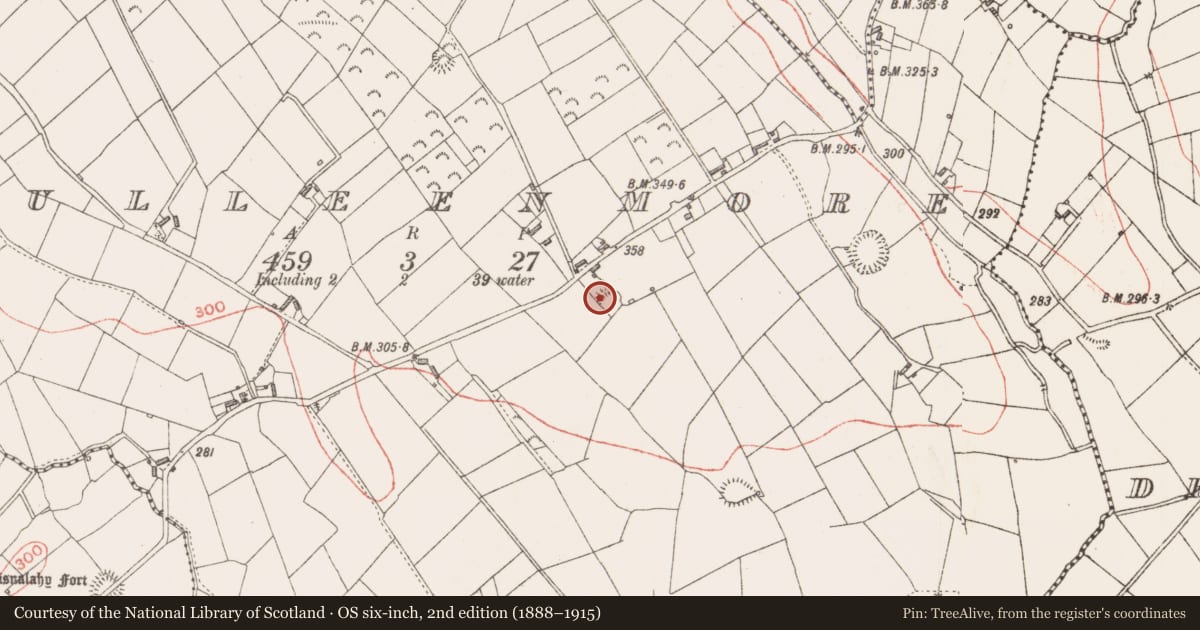 Ordnance Survey six-inch map, 2nd edition (1888–1915) covering the location of Ringfort - rath, Culleenmore, County Longford, with a pin at the register's coordinates