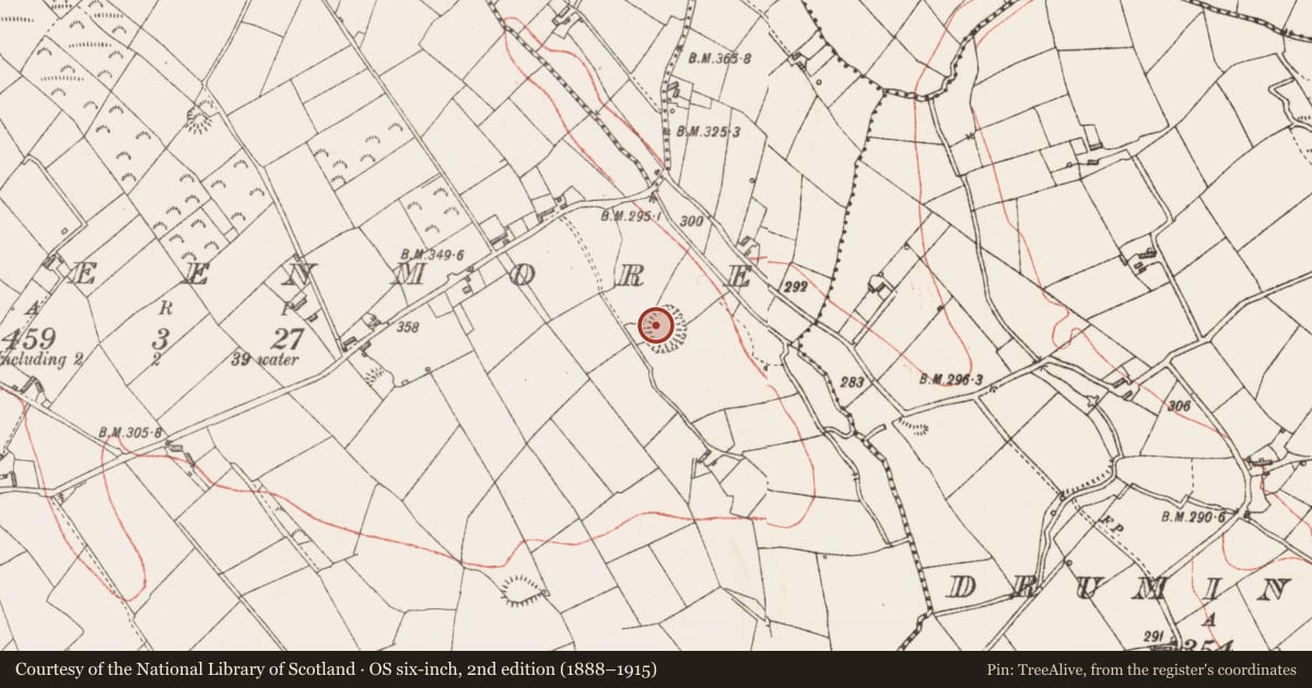 Ordnance Survey six-inch map, 2nd edition (1888–1915) covering the location of Ringfort - rath, Culleenmore, County Longford, with a pin at the register's coordinates