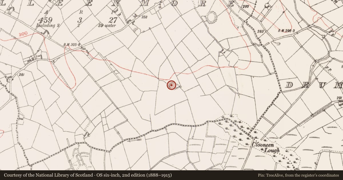 Ordnance Survey six-inch map, 2nd edition (1888–1915) covering the location of Ringfort - rath, Culleenmore, County Longford, with a pin at the register's coordinates