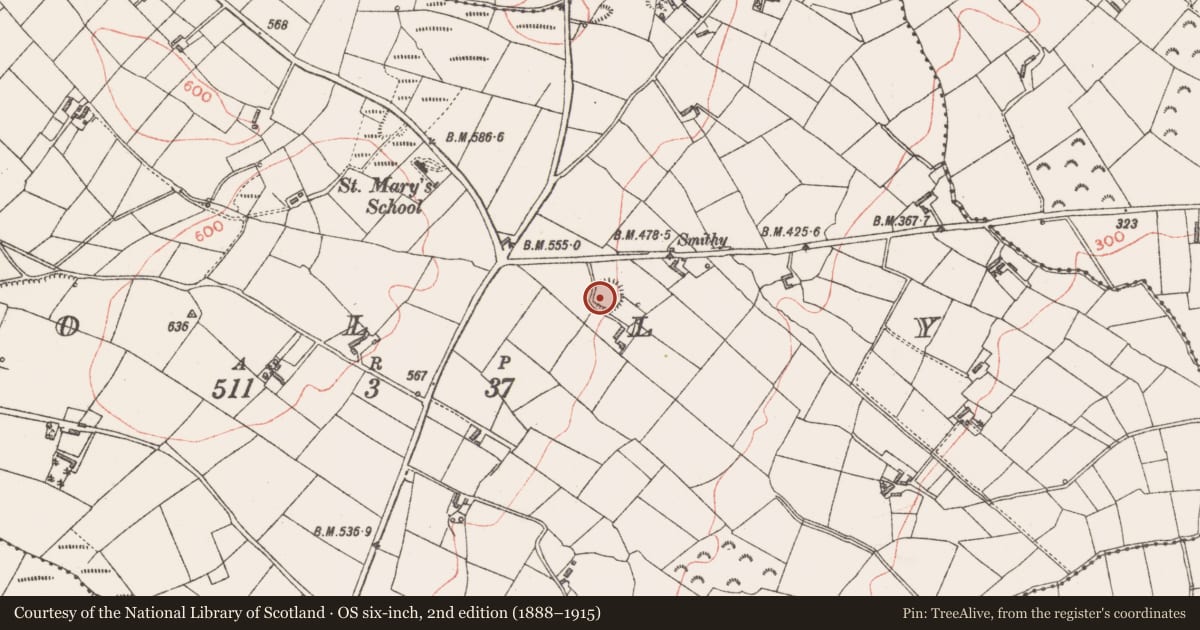 Ordnance Survey six-inch map, 2nd edition (1888–1915) covering the location of Ringfort - rath, Molly, County Longford, with a pin at the register's coordinates