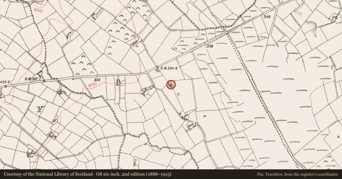 Ordnance Survey six-inch map, 2nd edition (1888–1915) covering the location of Ringfort - rath, Aghakeeran, County Longford, with a pin at the register's coordinates