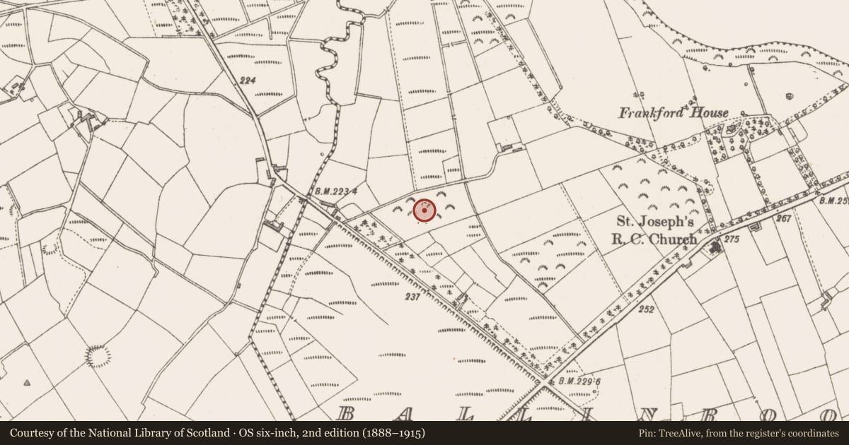 Ordnance Survey six-inch map, 2nd edition (1888–1915) covering the location of Ringfort - rath, Ballinrooey, County Longford, with a pin at the register's coordinates
