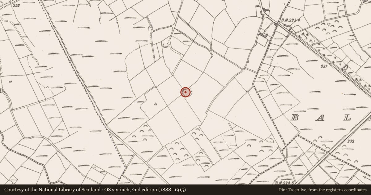 Ordnance Survey six-inch map, 2nd edition (1888–1915) covering the location of Ringfort - rath, Culray, County Longford, with a pin at the register's coordinates