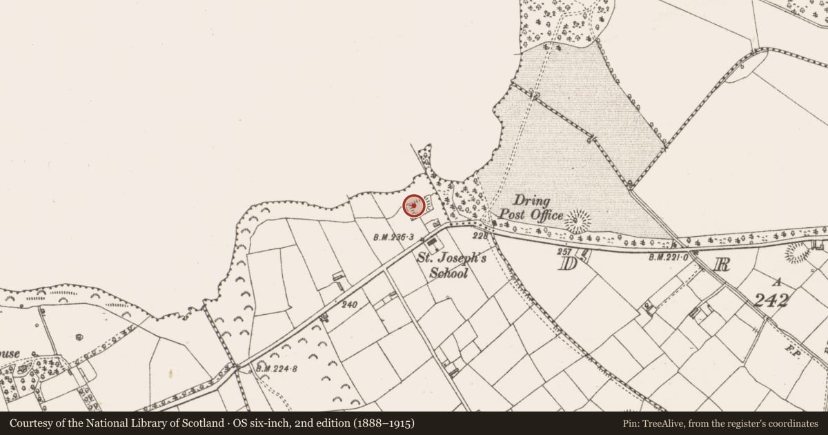 Ordnance Survey six-inch map, 2nd edition (1888–1915) covering the location of Castle - motte, Ballinulty Lower, County Longford, with a pin at the register's coordinates